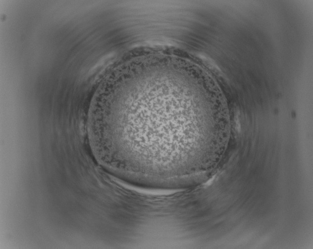 X0000074291110200609081845