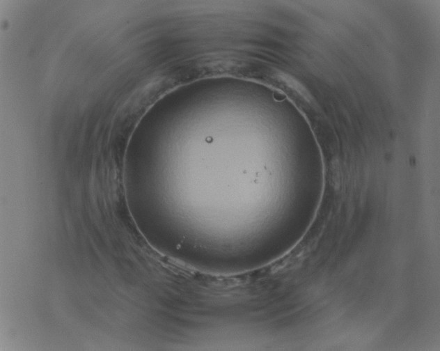 X0000074291111200609081845