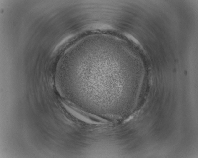 X0000074291112200609081845