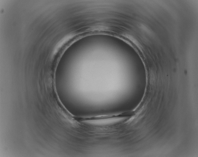 X0000074291115200609081845