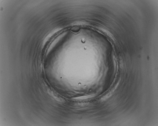 X0000074291117200609081845