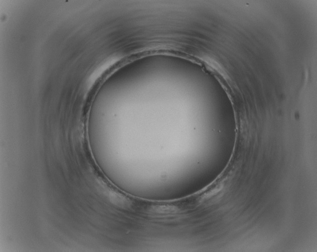 X0000074291119200609081845