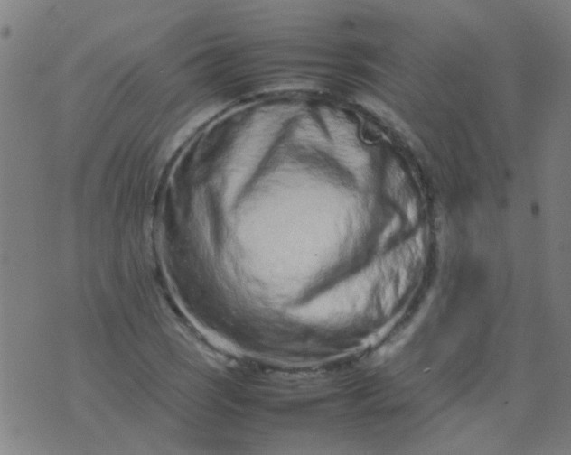 X0000074291121200609081845