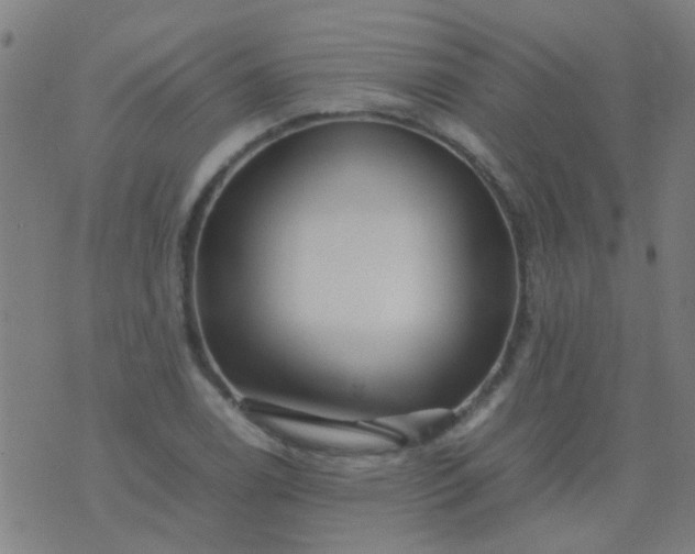 X0000074291122200609081845