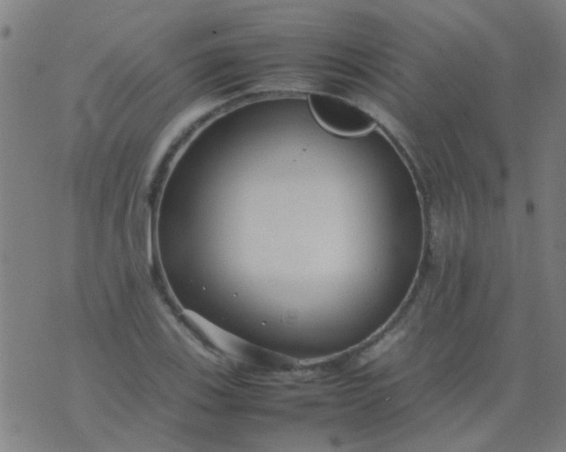 X0000074291123200609081845