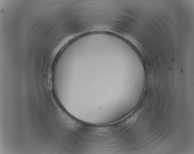 X0000074291126200609081845