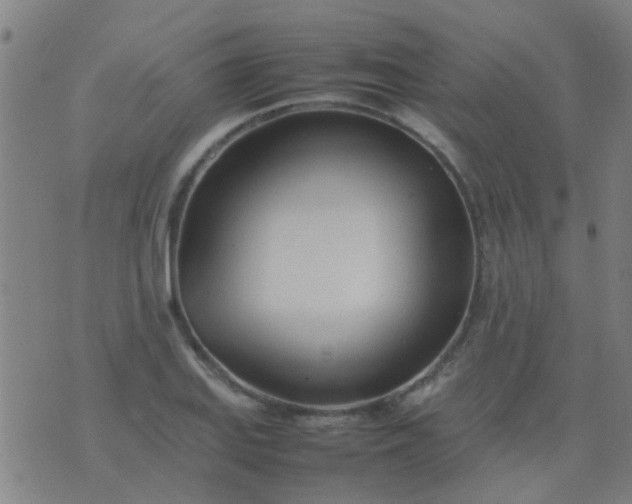 X0000074291127200609081845