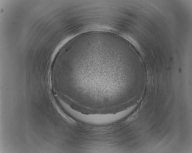 X0000074291128200609081845