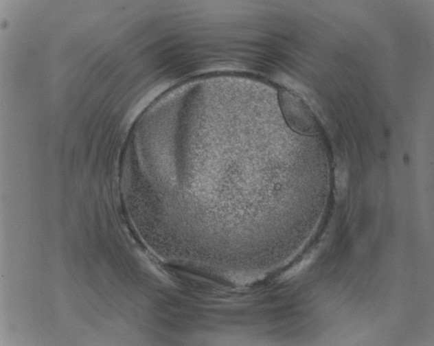 X0000074291129200609081845