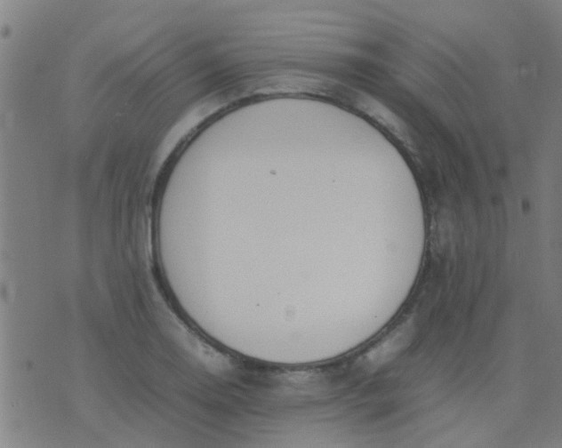 X0000074291130200609081845