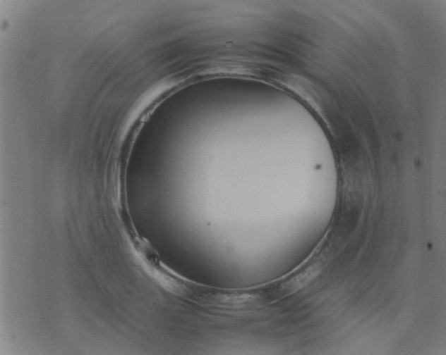 X0000074291131200609081845