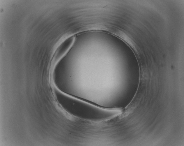 X0000074291132200609081845