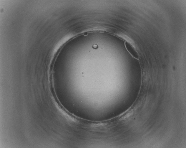 X0000074291135200609081845