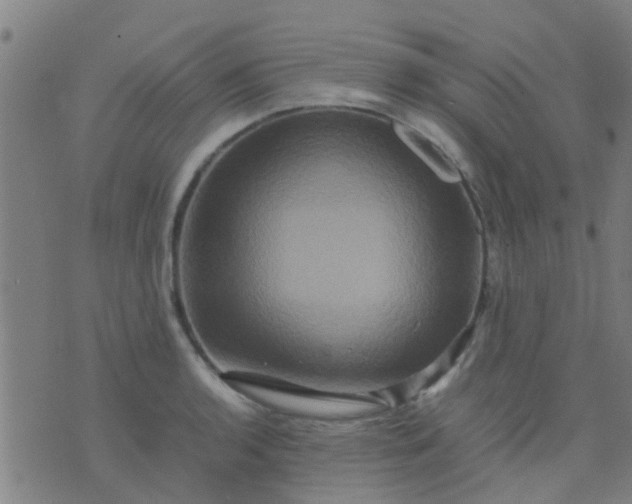 X0000074291136200609081845