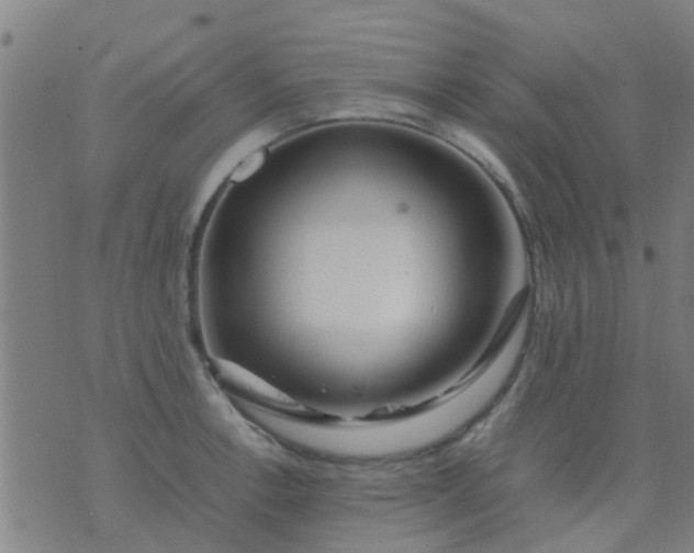 X0000074291138200609081845