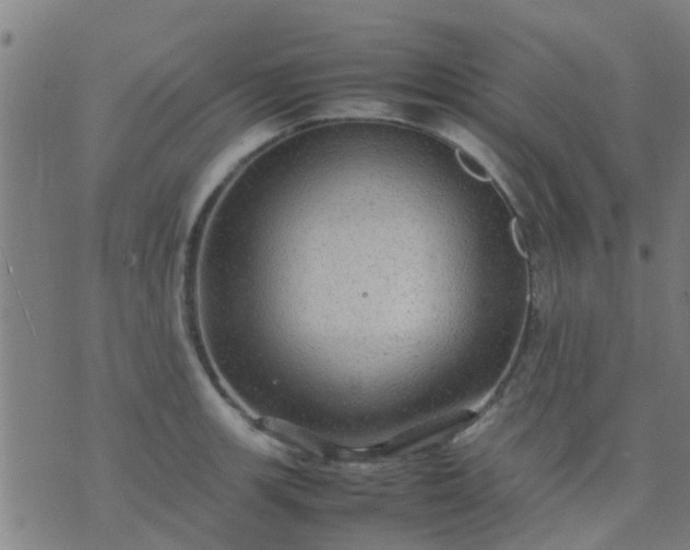 X0000074291139200609081845