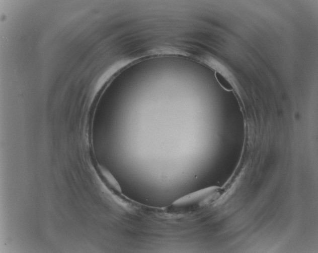 X0000074291141200609081845