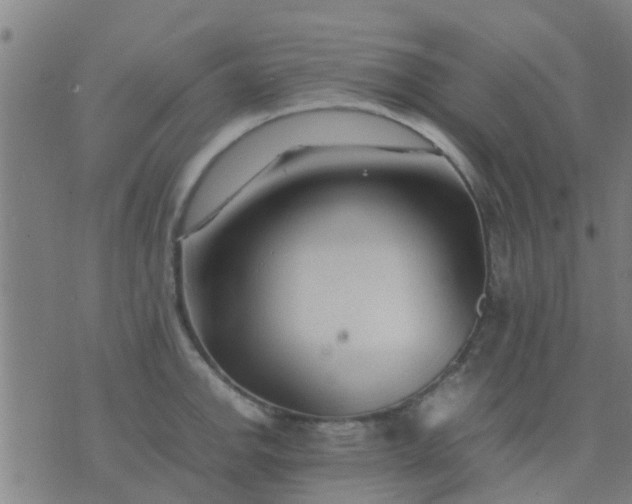 X0000074291142200609081845