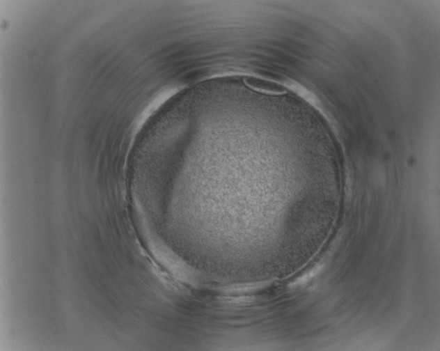 X0000074291145200609081845