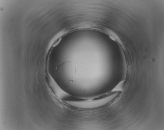 X0000074291146200609081845