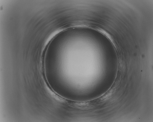 X0000074291147200609081845