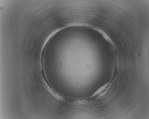 X0000074291148200609081845