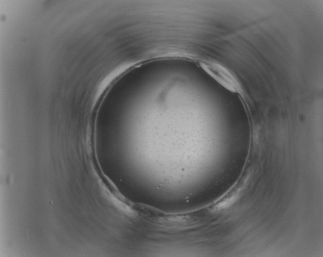 X0000074291149200609081845