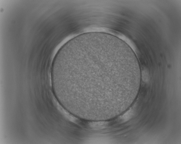 X0000074291150200609081845