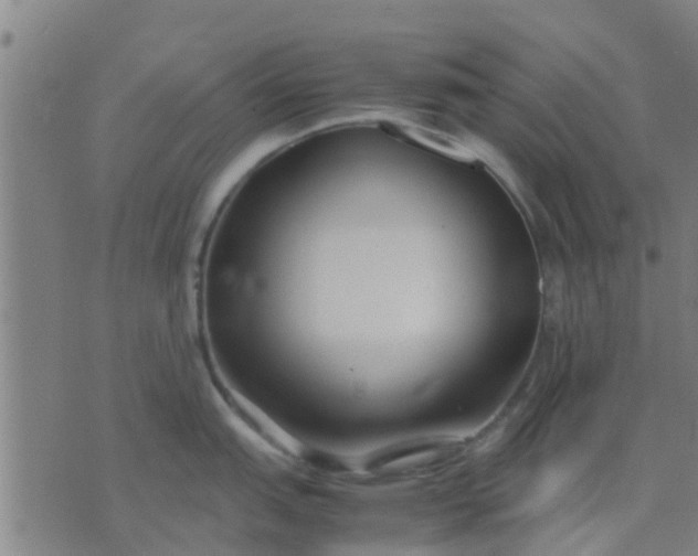 X0000074291151200609081845