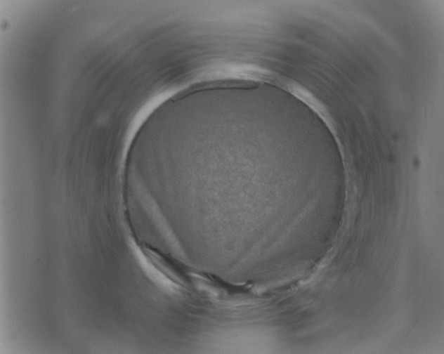 X0000074291152200609081845