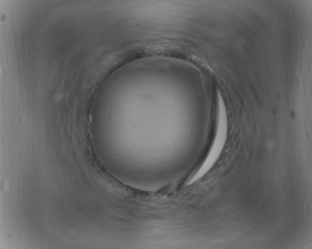 X0000074291153200609081845