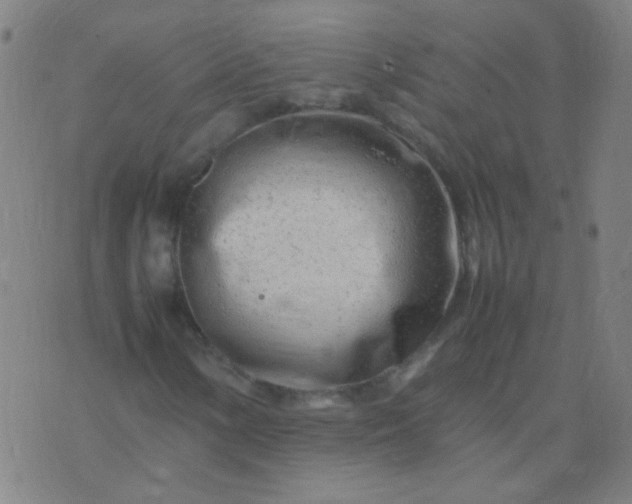 X0000074291154200609081845