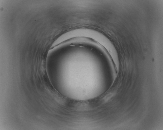 X0000074291156200609081845