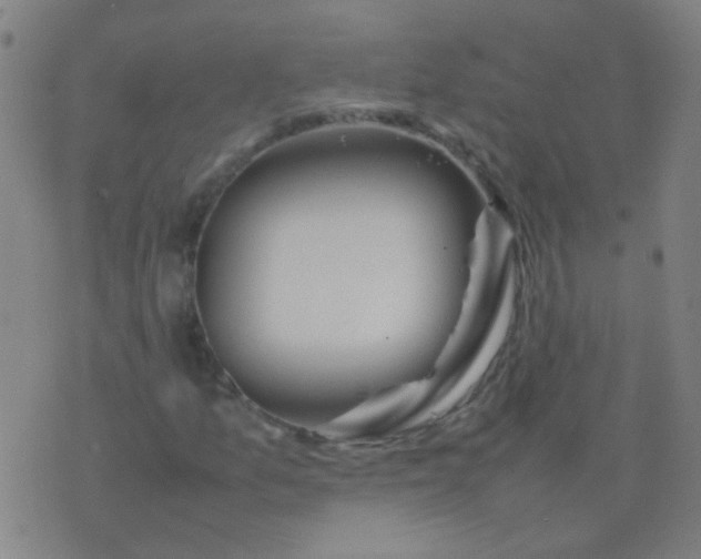 X0000074291157200609081845