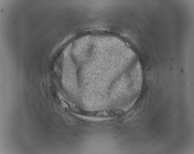 X0000074291159200609081845