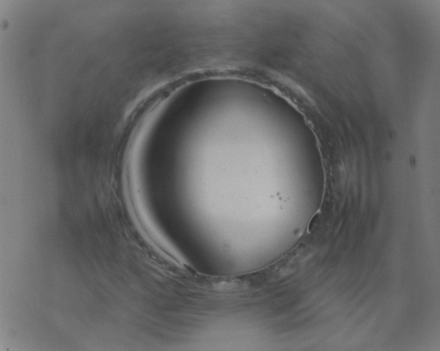 X0000074291160200609081845