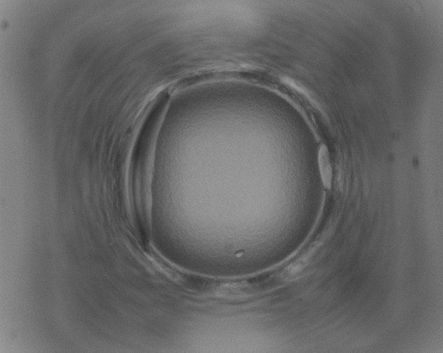 X0000074291161200609081845