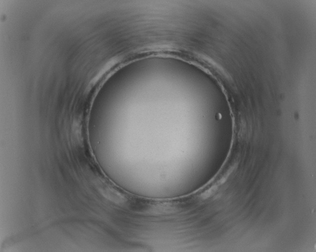 X0000074291162200609081845