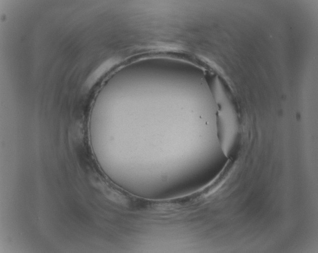 X0000074291163200609081845