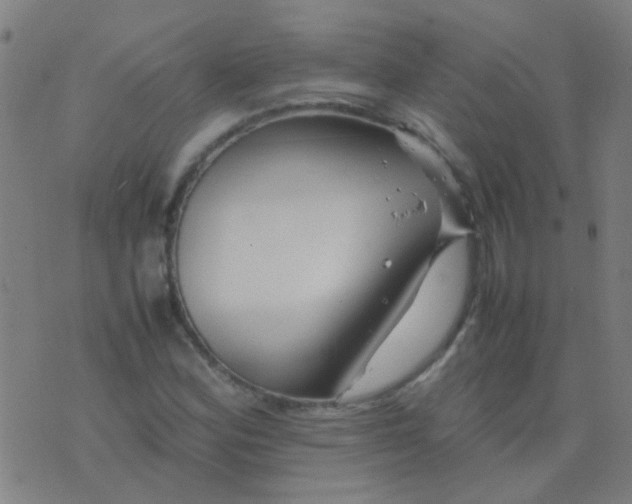 X0000074291164200609081844