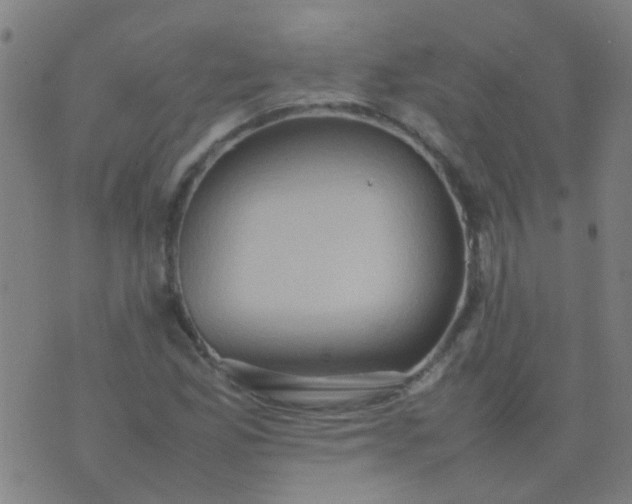 X0000074291165200609081844