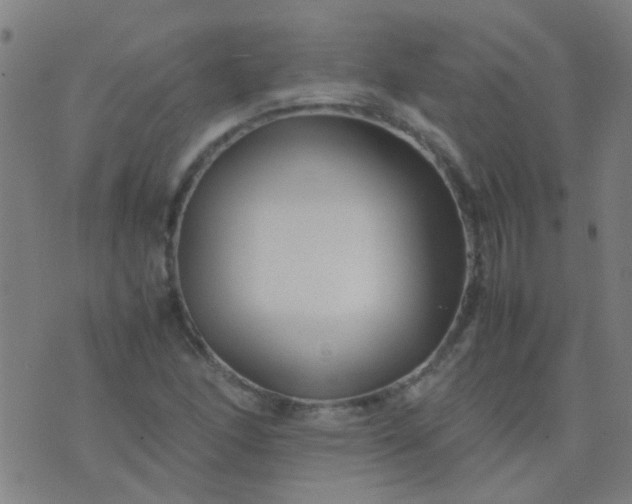 X0000074291166200609081844