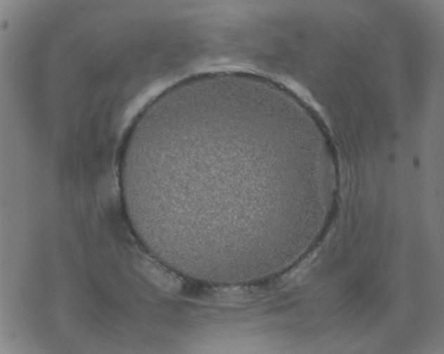 X0000074291167200609081844