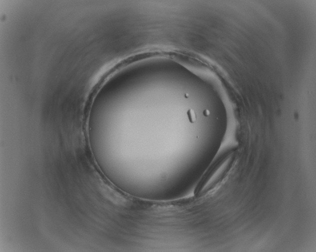 X0000074291168200609081844