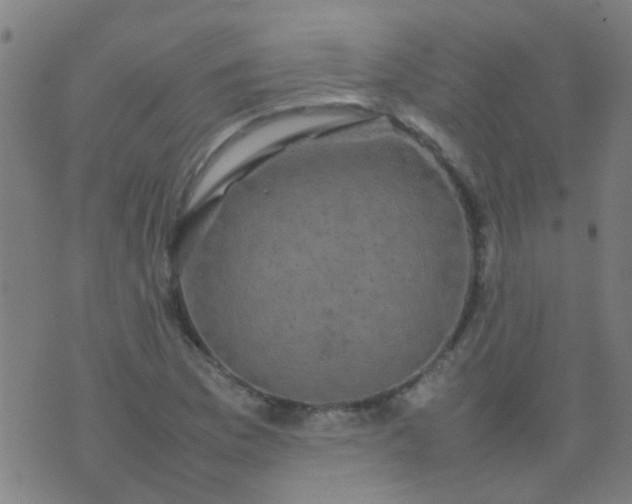 X0000074291169200609081844