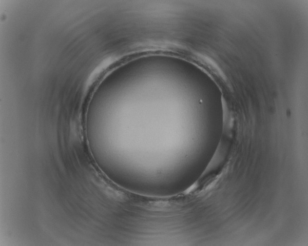 X0000074291172200609081844