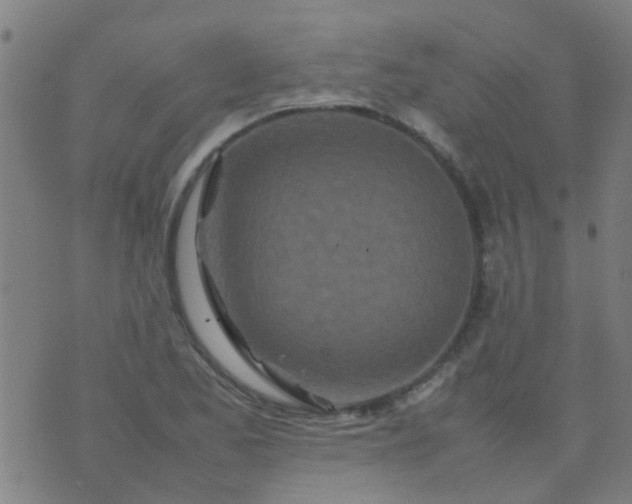 X0000074291173200609081844