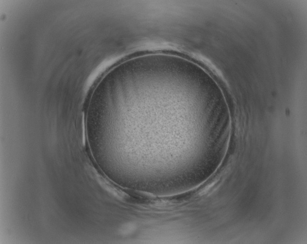 X0000074291175200609081844