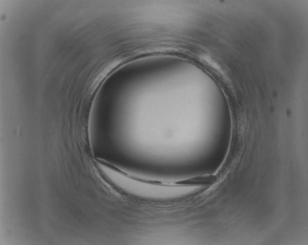 X0000074291177200609081844