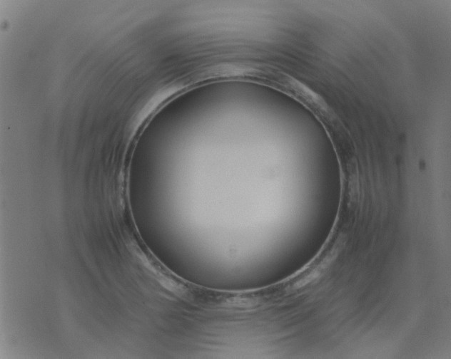 X0000074291178200609081844